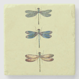 Dessous-de-verre En Pierre Illustrations de libellule