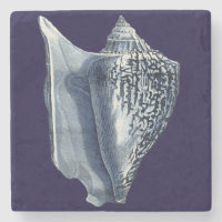 Indigo Shells I