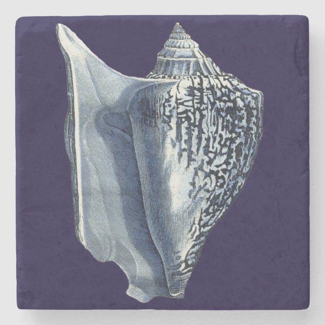 Dessous-de-verre En Pierre Indigo Shells I (Devant)