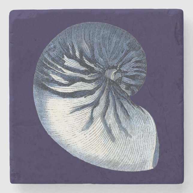 Dessous-de-verre En Pierre Indigo Shells VII (Devant)