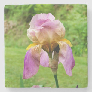 Dessous-de-verre En Pierre Iris à poils