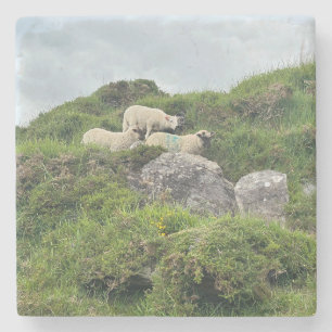 Dessous-de-verre En Pierre Irlande Russe Trois moutons irlandais