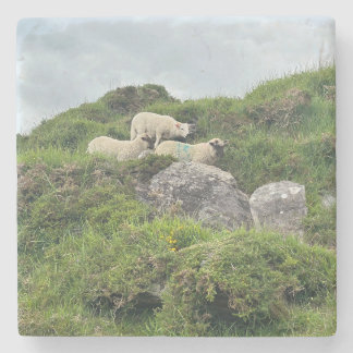 Dessous-de-verre En Pierre Irlande Russe Trois moutons irlandais