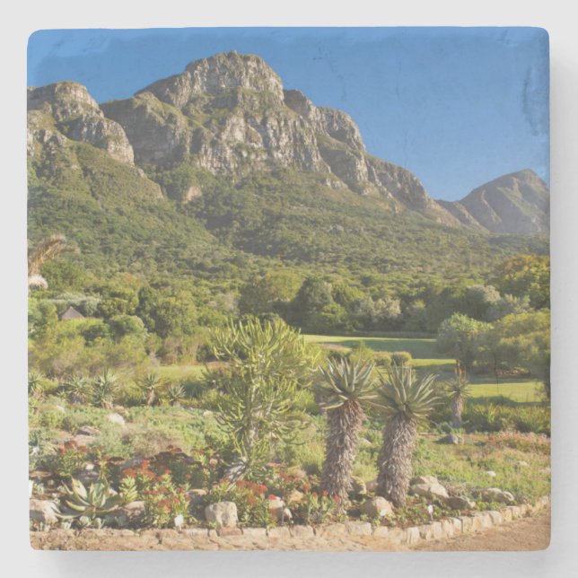 Dessous-de-verre En Pierre Jardins botaniques de Kirstenbosch, Cap (Devant)