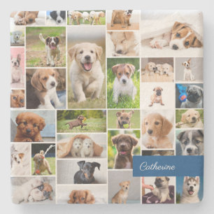 Dessous-de-verre En Pierre Jote Chien photo Montage adorable Chien