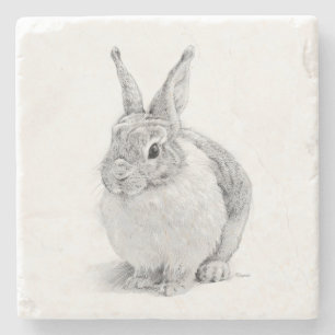 Dessous-de-verre En Pierre Journée du lapin