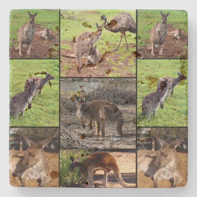 Dessous-de-verre En Pierre Kangaroo Photo Collage, (Devant)