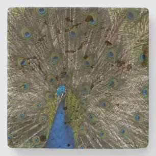 Dessous-de-verre En Pierre Kauai Peacock