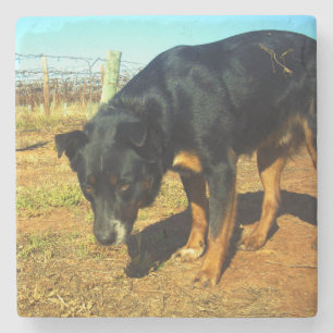 Dessous-de-verre En Pierre Kelpie Sooky Face,