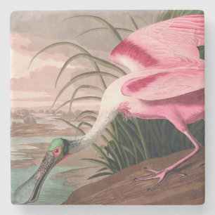 Dessous-de-verre En Pierre La faune des oiseaux d'Audubon de Spoonbill Roseat