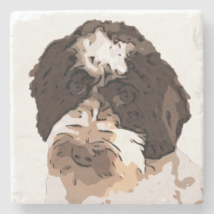 DESSOUS-DE-VERRE EN PIERRE LABRADOODLE