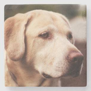 Dessous-de-verre En Pierre Labrador Retriever