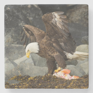 Dessous-de-verre En Pierre L'aigle chauve ultime