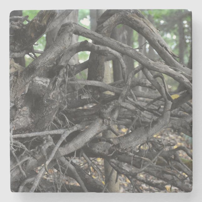 Dessous-de-verre En Pierre L'amour d'un arbre tombé (Devant)