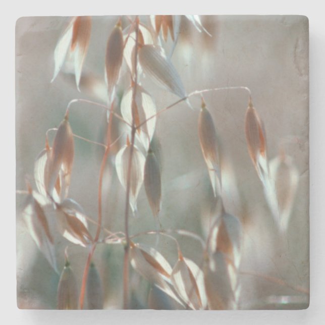 Dessous-de-verre En Pierre L'avoine mûre (Avena Sativa) Ferme. Ceres, Boland (Devant)