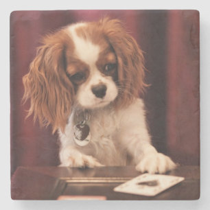 Dessous-de-verre En Pierre Le chiot joue aux cartes