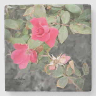 Dessous-de-verre En Pierre Le Rose Bush au bord de la plage