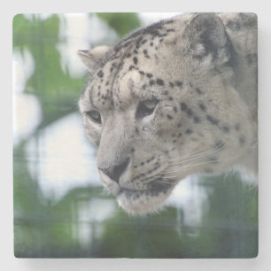 Dessous-de-verre En Pierre Leopard 003