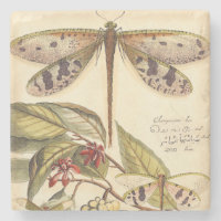 Les libellules aux Feuilles et aux fruits