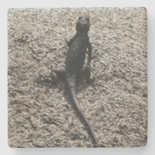 Dessous-de-verre En Pierre Lézard noir