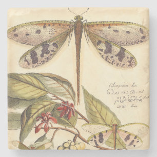 Dessous-de-verre En Pierre Libellules avec le feuille et le fruit