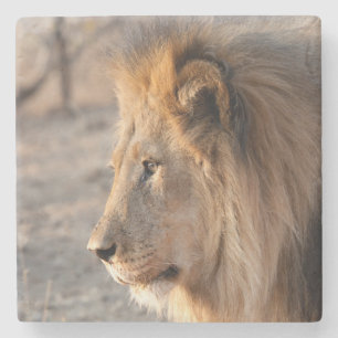 Dessous-de-verre En Pierre Lion Portrait