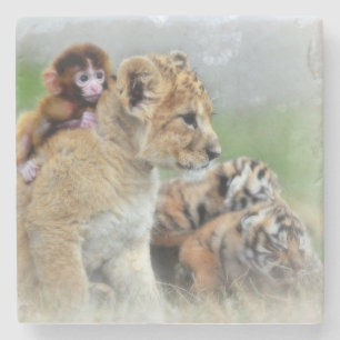 Dessous-de-verre En Pierre Lions, Tigre et Singe