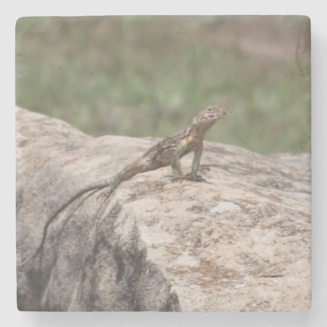 Dessous-de-verre En Pierre Lizard (Devant)