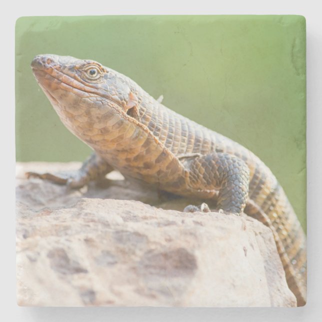 Dessous-de-verre En Pierre Lizard plaqué (Devant)