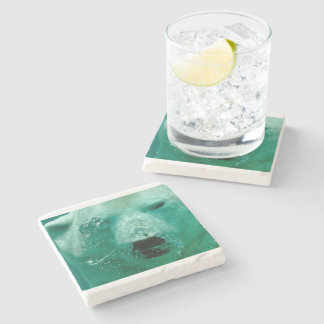 Dessous-de-verre En Pierre Lunatique mignon du nord arctique animal d'ours