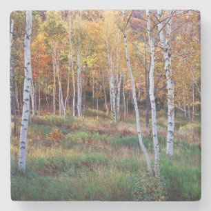 Dessous-de-verre En Pierre Maine, Parc national d'Acadia, Automne