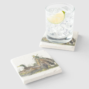 Dessous-de-verre En Pierre Mallard par Audubon