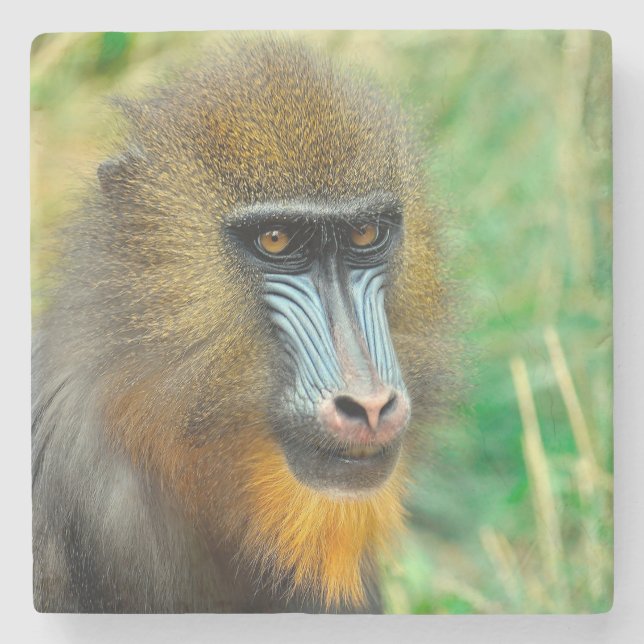 Dessous-de-verre En Pierre Mandrill 002 (Devant)