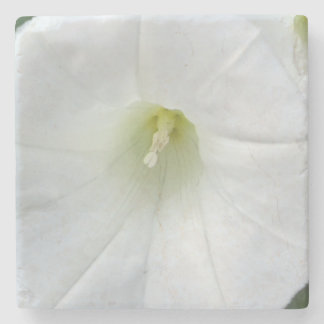 Dessous-de-verre En Pierre Marchand de Pierres Fleur Blanche