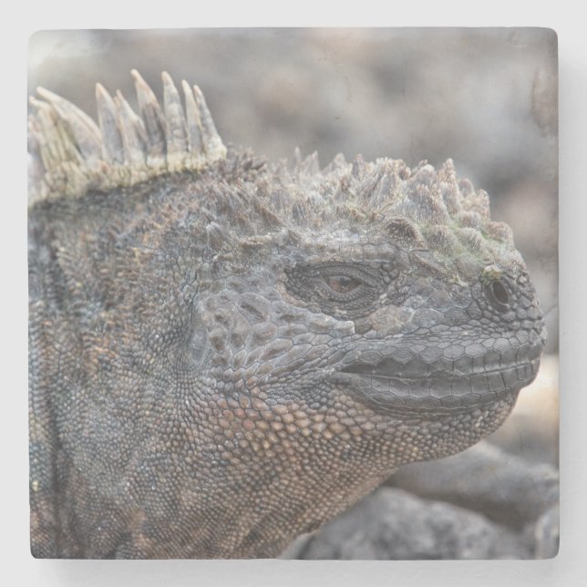Dessous-de-verre En Pierre Marine Iguana (Devant)