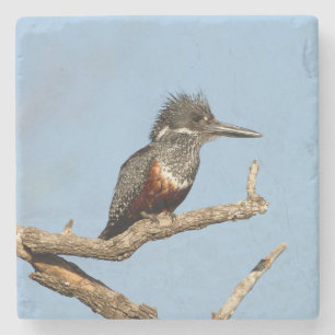 Dessous-de-verre En Pierre Martin-pêcheur géant