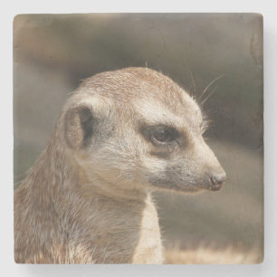 Dessous-de-verre En Pierre Meerkat 048
