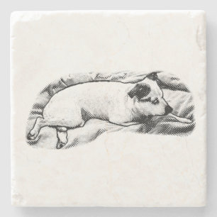 Dessous-de-verre En Pierre Minuscule galerie : Pots de Terrier au coucher