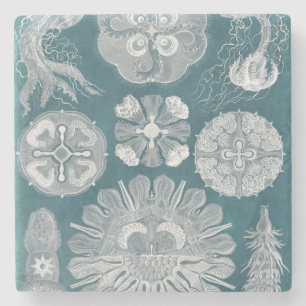 Dessous-de-verre En Pierre Modèle IV de vie marine