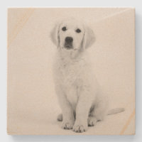 Moderne noir et blanc Golden Retriever