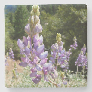 Dessous-de-verre En Pierre Mont Lupins