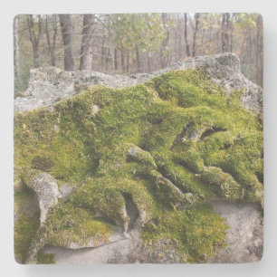 Dessous-de-verre En Pierre Mossy Broken Headstone