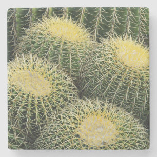 Dessous-de-verre En Pierre Motif de cactus
