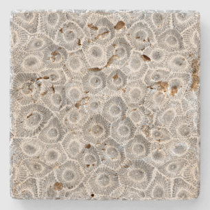 Dessous-de-verre En Pierre Motif Petoskey Stone