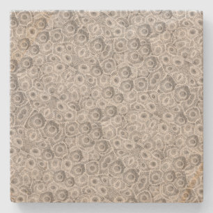 Dessous-de-verre En Pierre Motif Petoskey Stone