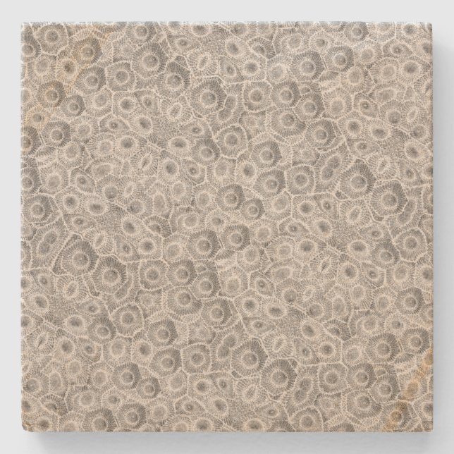 Dessous-de-verre En Pierre Motif Petoskey Stone (Devant)