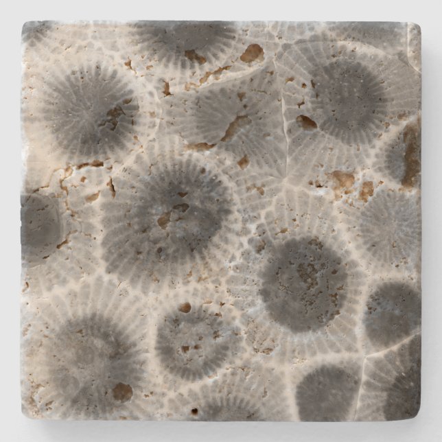 Dessous-de-verre En Pierre Motif Petoskey Stone (Devant)