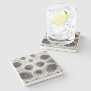 Dessous-de-verre En Pierre Motif Petoskey Stone