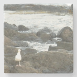 Dessous-de-verre En Pierre Mouette sur rochers