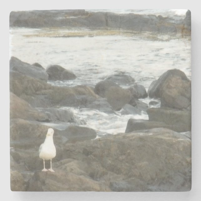 Dessous-de-verre En Pierre Mouette sur rochers (Devant)